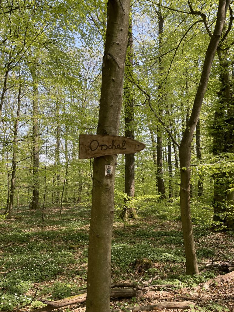 Ein Wegweiser auf dem Mühlenwanderweg, der in Richtung Oberursel zeigt.